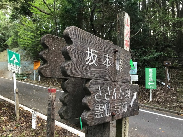 S__19857425.jpg