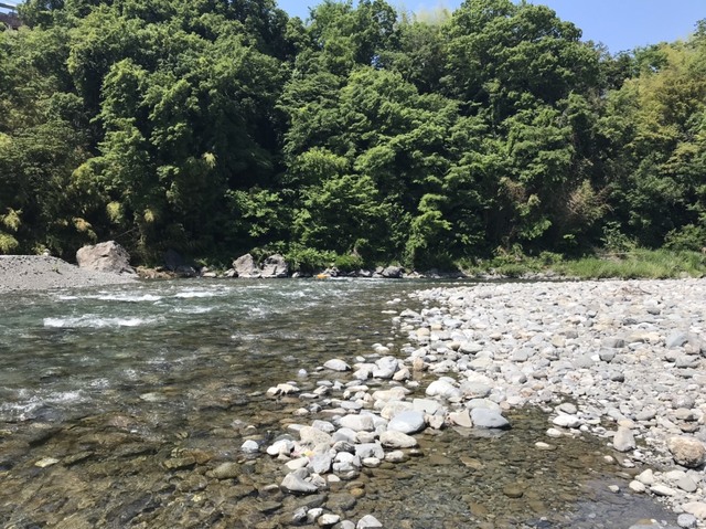S__22028294.jpg