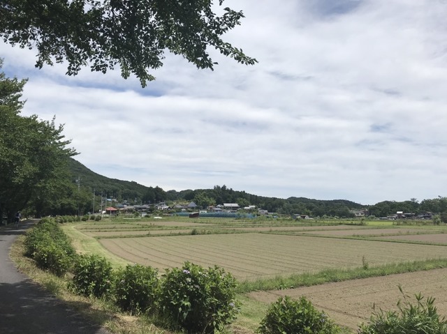 S__28139543.jpg